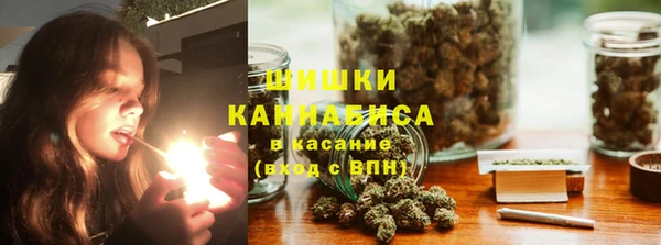 дживик Бородино