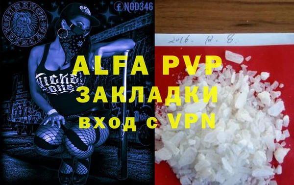 прущие грибы Верхний Тагил
