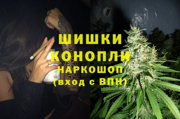 дживик Бородино