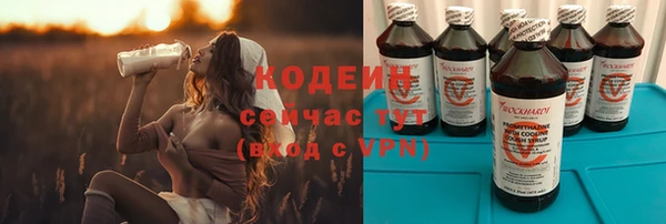 дживик Бородино