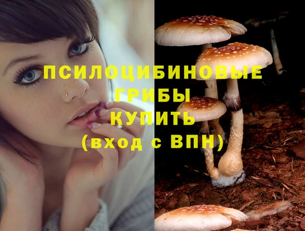 дживик Бородино
