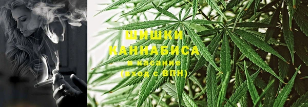дживик Бородино