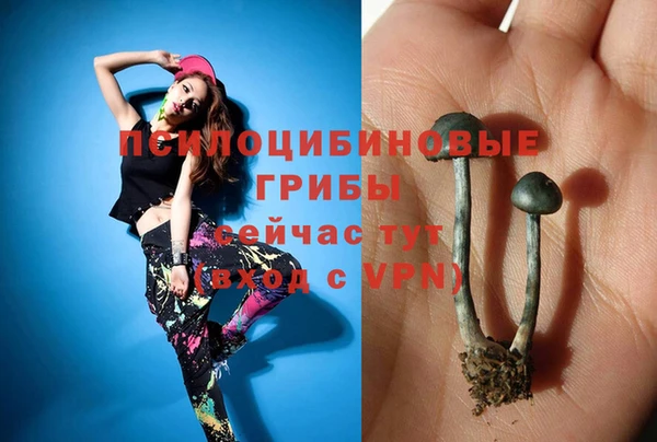 прущие грибы Верхний Тагил