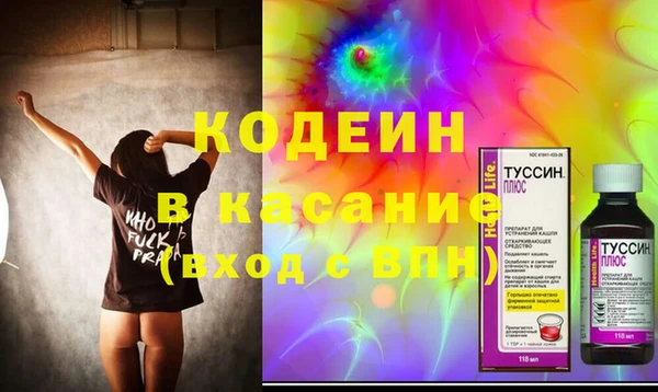 прущие грибы Верхний Тагил