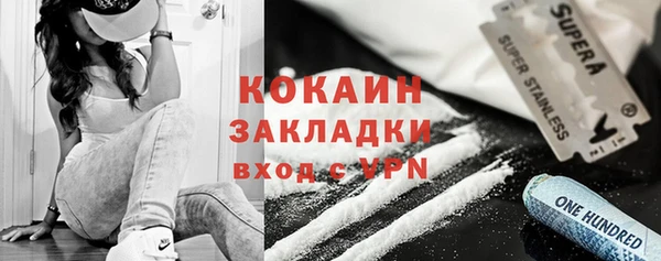 дживик Бородино