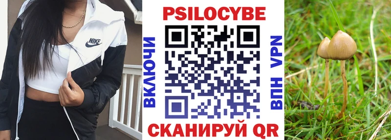Псилоцибиновые грибы ЛСД  Купить  Лысьва 